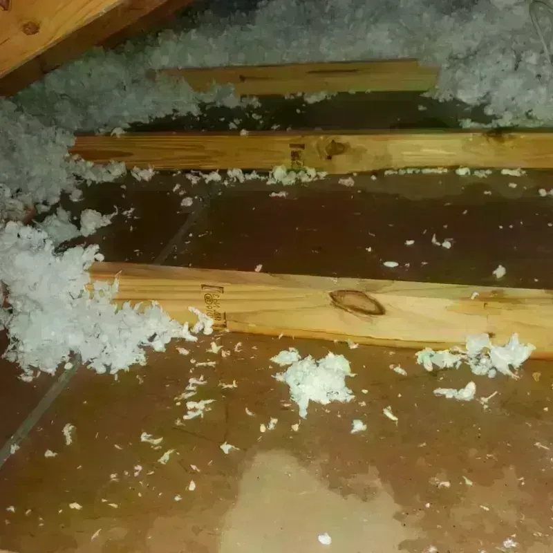 Attic Water Damage in City of Fairfax, VA